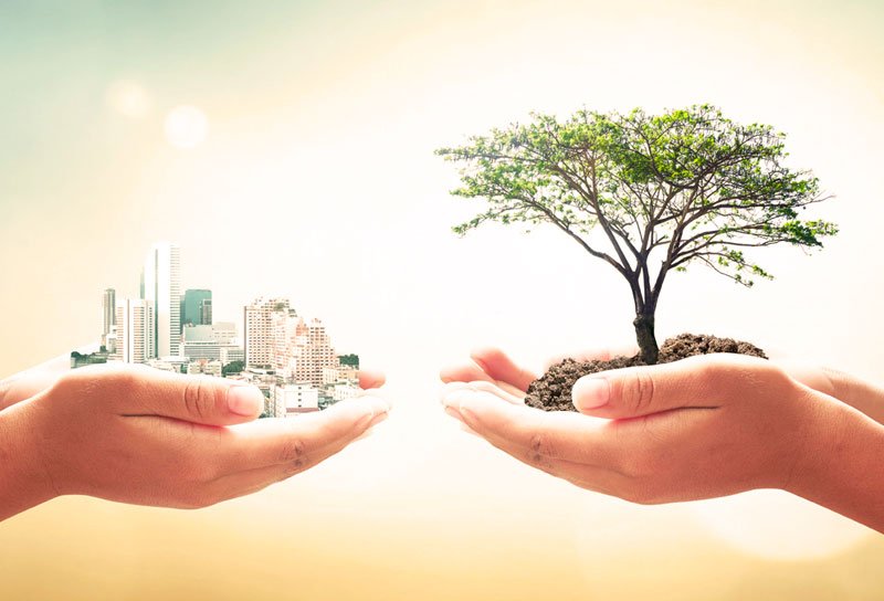 imagen simbólica de dos manos, una sosteniendo una ciudad, la otra un árbol